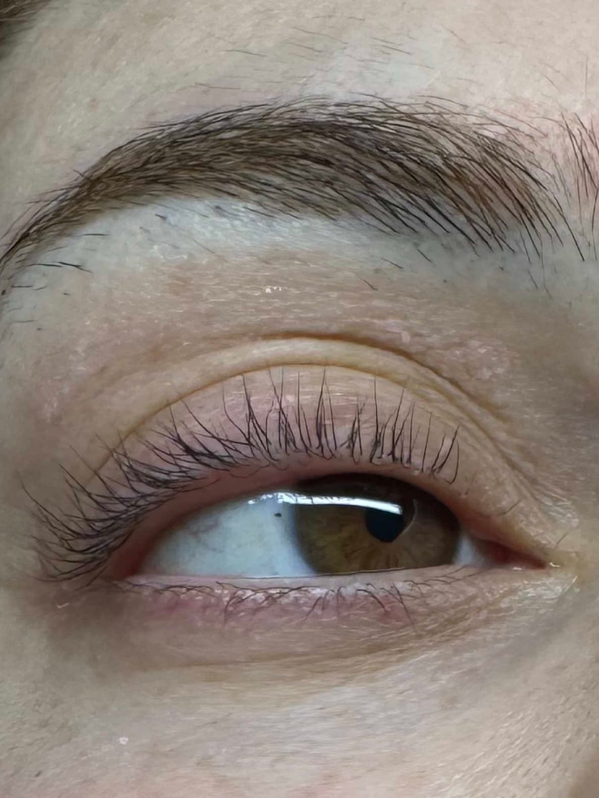 ELAX lash lift detayı